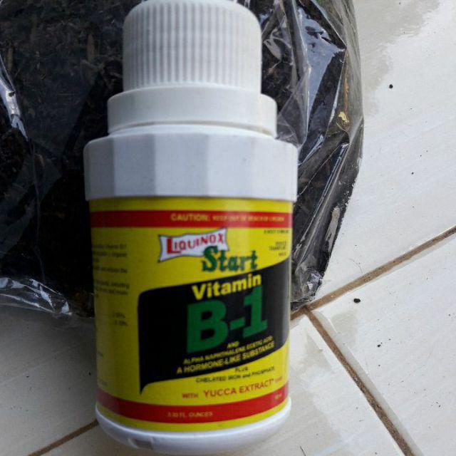 Ori Pupuk Vit B1 Vitamin - B1 Liquinox 100 Ml