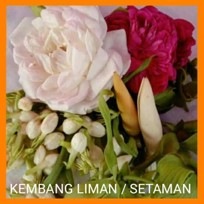 kembang liman kembang lima macam kembang setaman