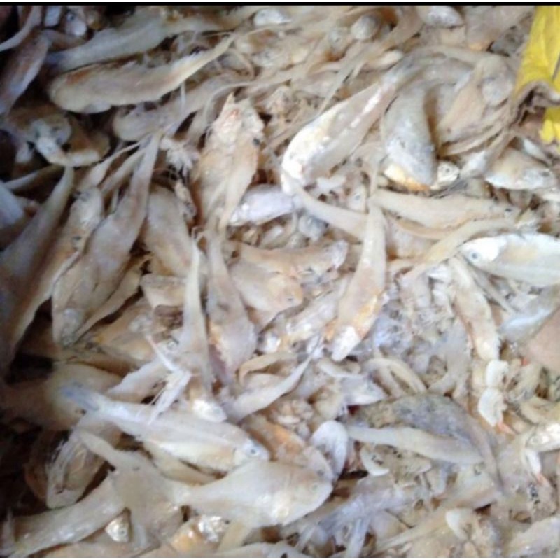 

Ikan Asin BuLu Ayam