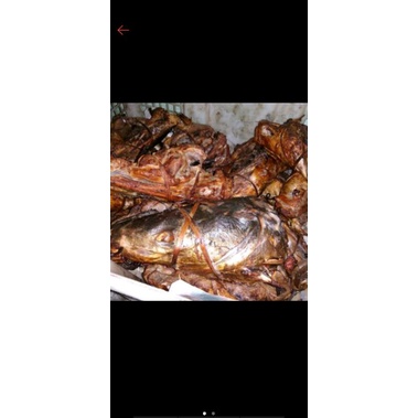 IKAN ASAP KEPALA MANYUNG