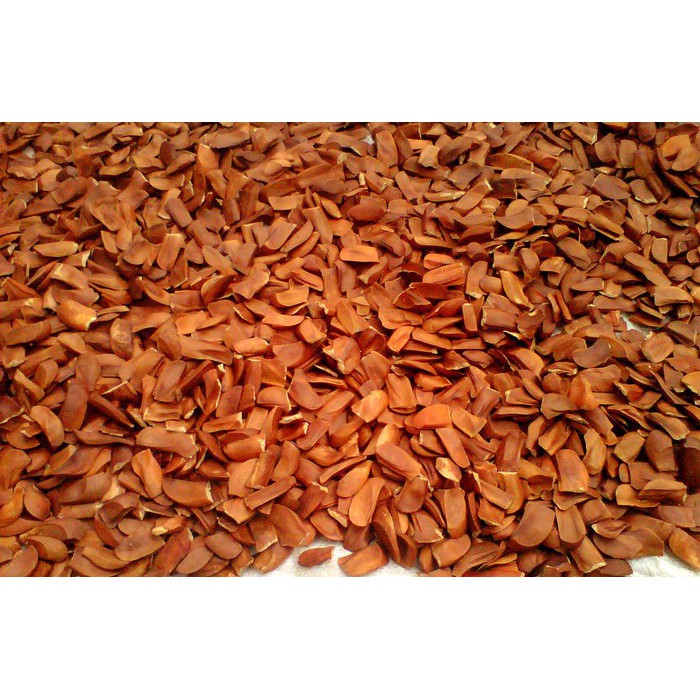 

BIJI MAHONI 1 KG - Swietenia Macrophylla - MURNI - JSR - REMPAH