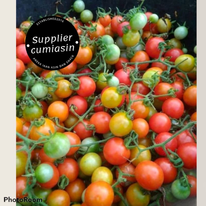 

Buah Rampai Rempai Tomat Kecil Segar Khas Lampung 500gram