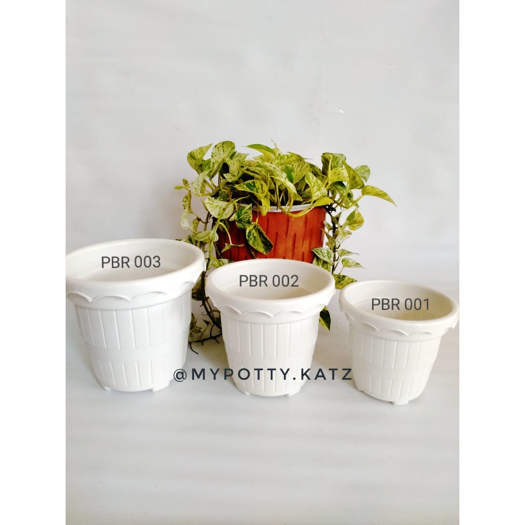 Pot Taiwan Nursery L (PBR003)