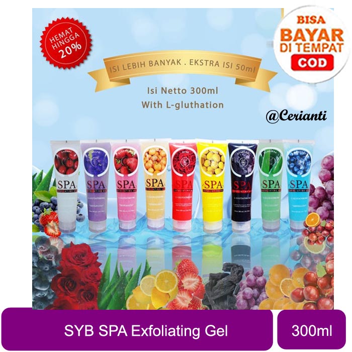 SYB Spa Exfoliating Gel Aloevera Blueberry Fruitamin_Cerianti