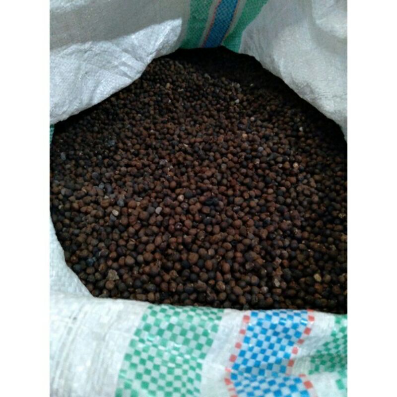 biji kapuk randu/klenteng 1kg/umpan ikan lampang biji kapuk asli