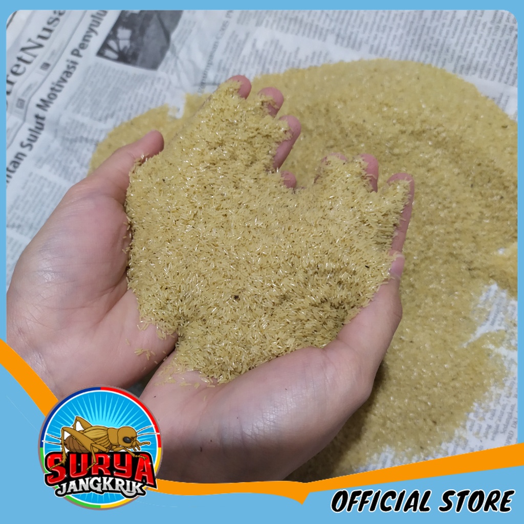 Bibit Jangkrik Alam Telur Jangkrik Alam Super 1kg