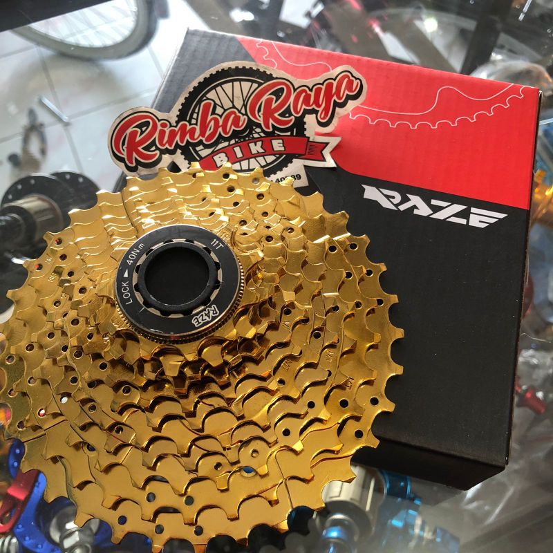 Sprocket Raze 11Speed 11-34T Gold