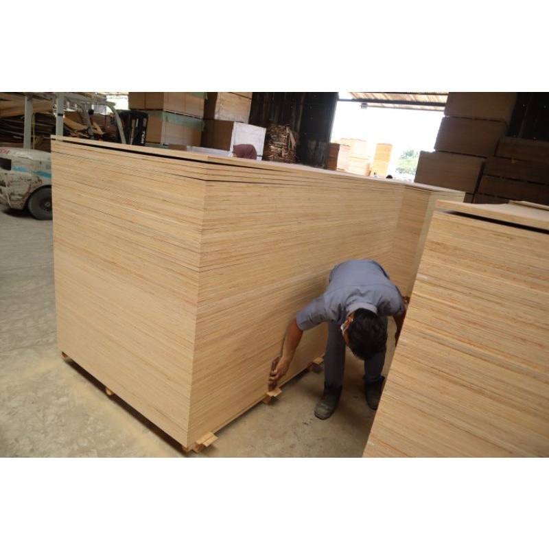 PLYWOOD TRIPLEK 18mm