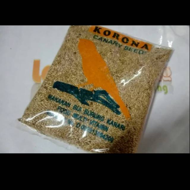 corona seed korona canary makanan canari seed polos pakan makan burung kenari lovebird perkutut