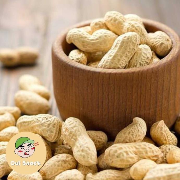 

500GR KACANG KULIT OVEN / PANGGANG - KACANG TANAH MURAH | OUI SNACK