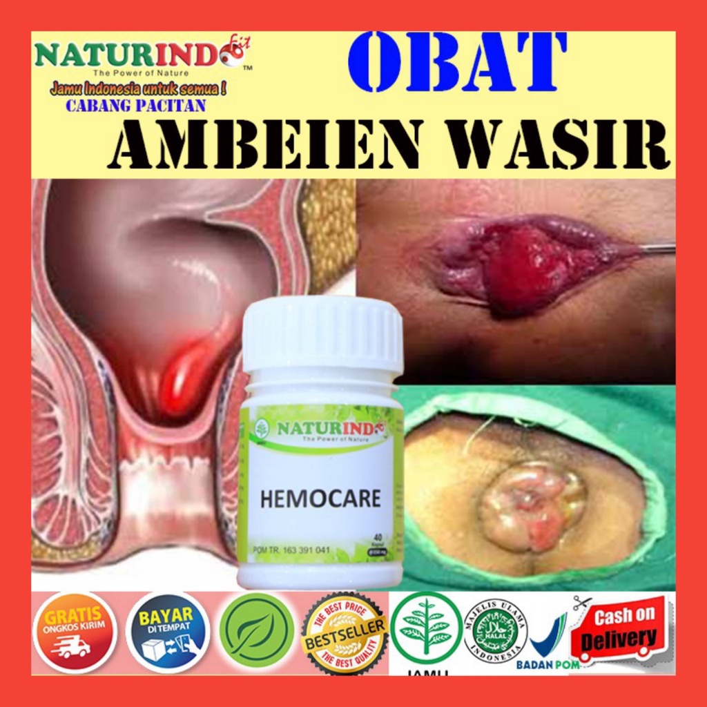 OBAT WASIR AMBEIEN STADIUM 1 SAMPAI 4 PALING AMPUH HERBAL AMBEYEN HEMOCARE TANPA OPRASI BPOM