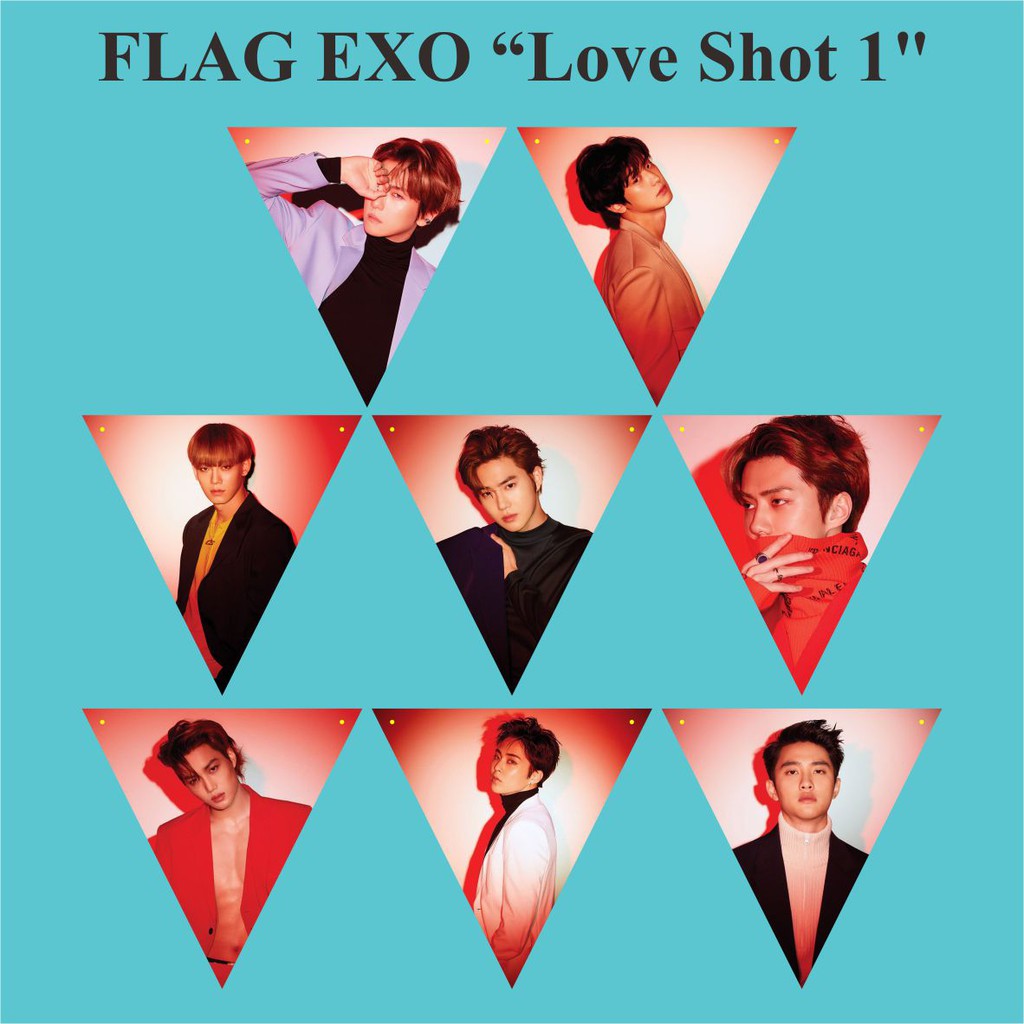 BUNTING FLAG EXO LOVE SHO1 + Tali Souvenir Kpop Murah