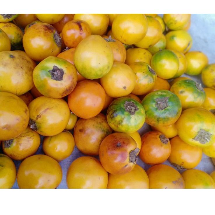 

<N-OTR} <☼} TERONG ASAM 1Kg <✮✮✮✮✮}