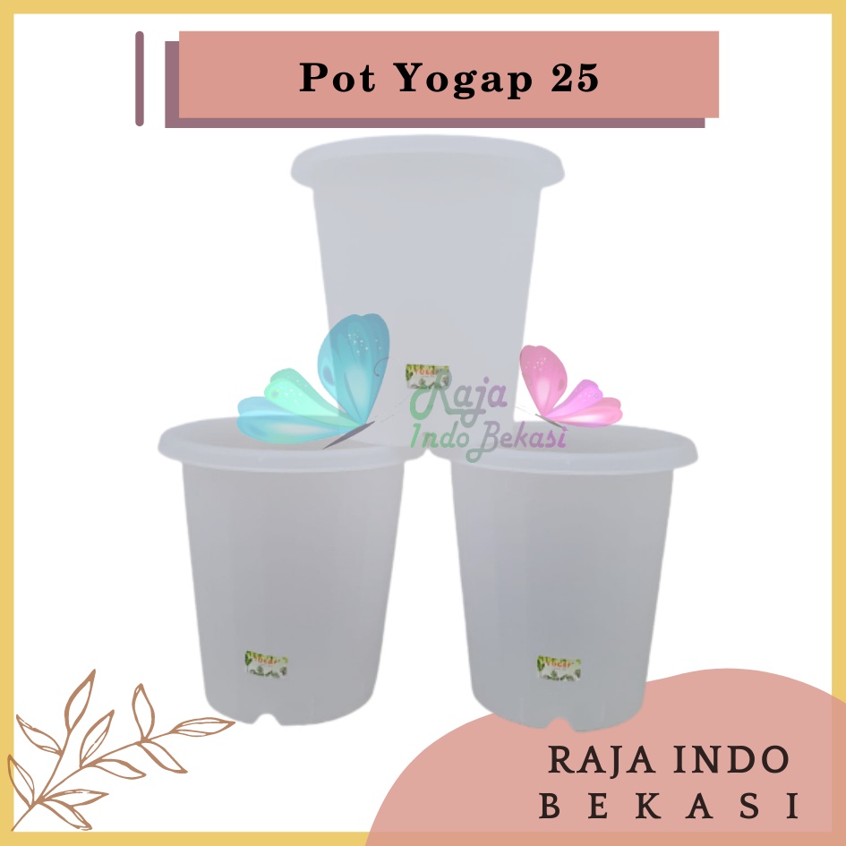Pot Yogap 25 Transparan Bening Clear Pot Bunga Tanaman Tinggi Yogap Ypt 25 - Bahan Tebal