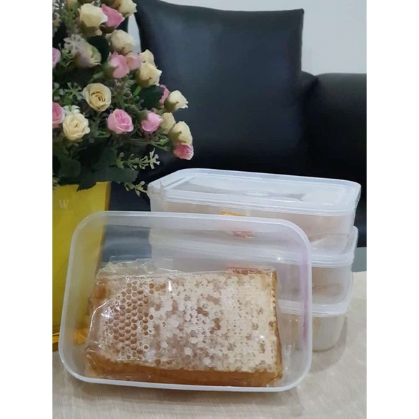 

sarang madu premium