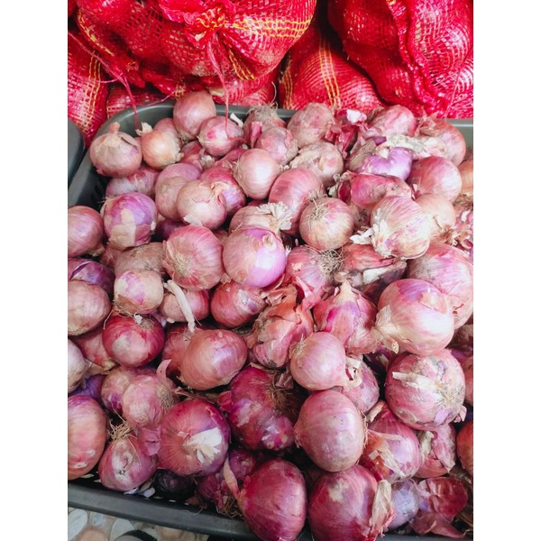

bawang merah pakistan