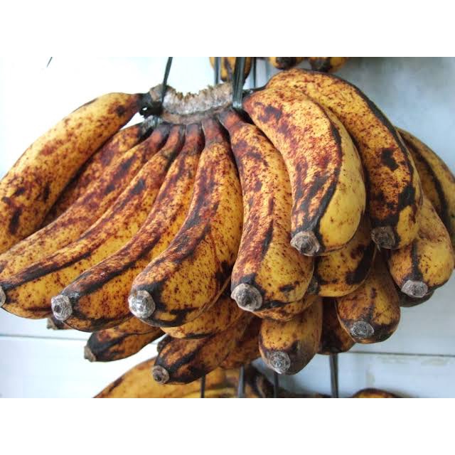 Bibit Pisang Raja Sereh