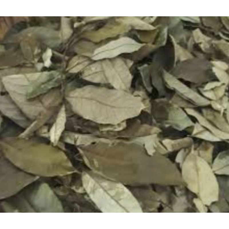

Daun pala kering 100gr