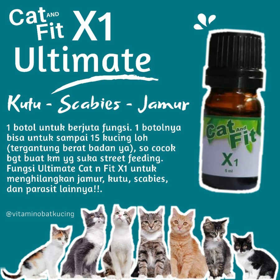 PAKET Obat Anti Jamur Cacing Kutu Scabies Kucing X1 dan X2 Cat and Fit Ampuh