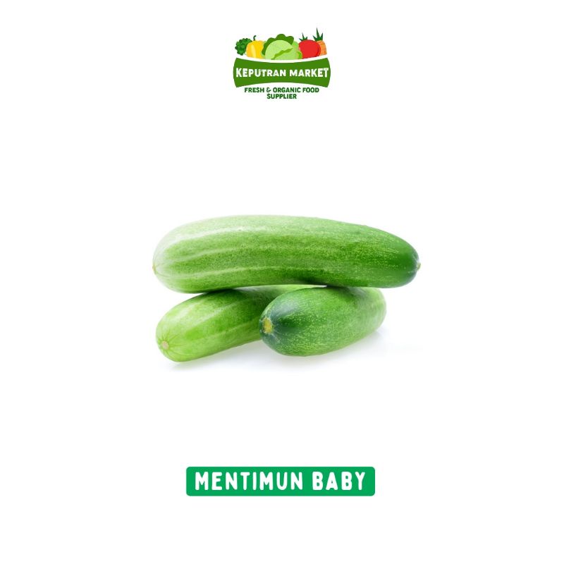 

TERMURAH !!! Baby Mentimun 500 Gram / Sayur Segar