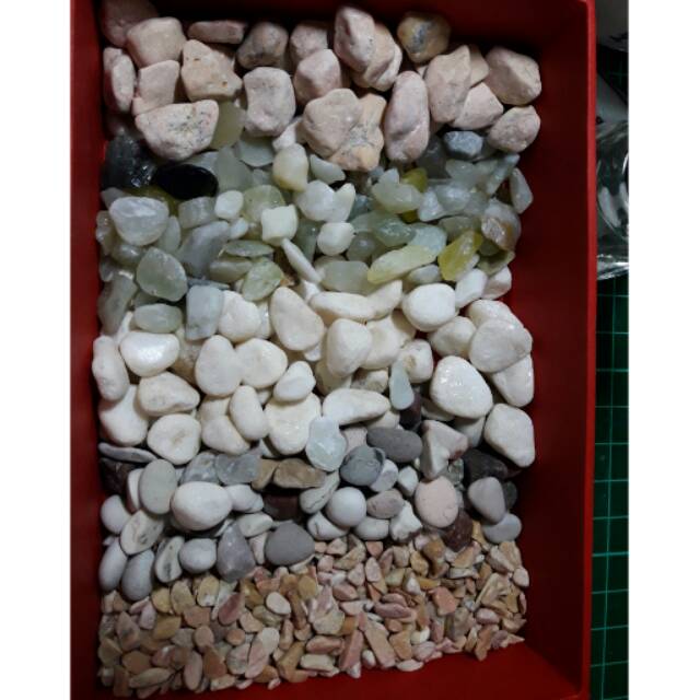 Batu Kerikil Kecil Bahan Dekorasi Mini Garden Terrarium Shopee Indonesia