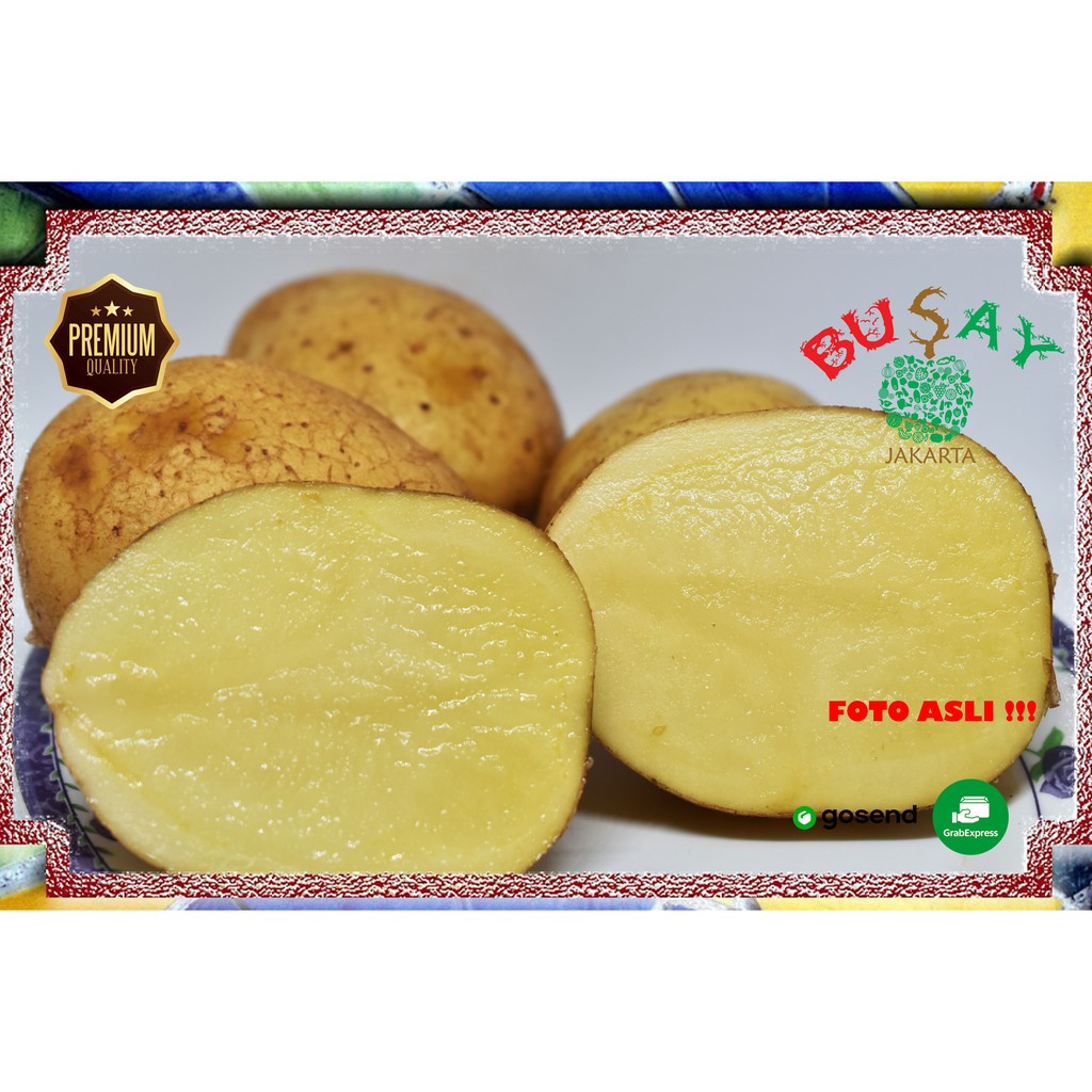 

Kentang Dieng Premium Sayuran Segar 500gr