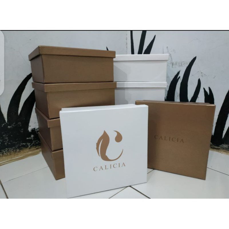 

HARDBOX UKURAN 25X25X10 MURAH BANGET