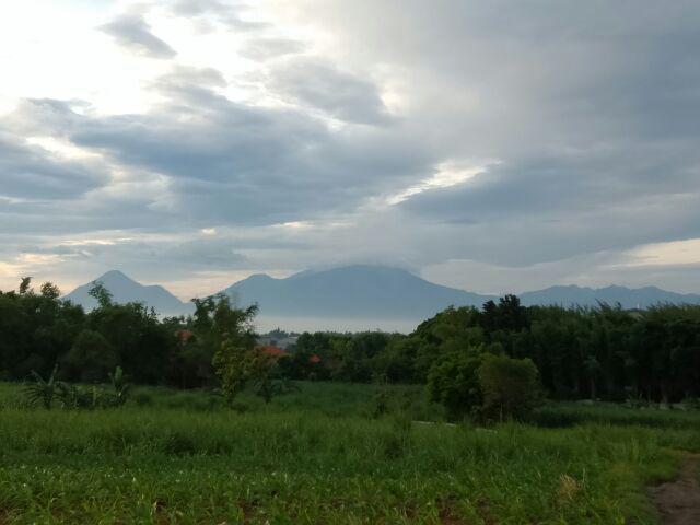 [gridline - Ls026 Blue & Grey] Kemeja Batik Slimfit Pria Katun Lengan Panjang