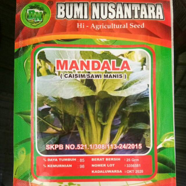 Jual Bibit Benih Sayur Sawi Manis Caisim Mandala Bumi Nusantara