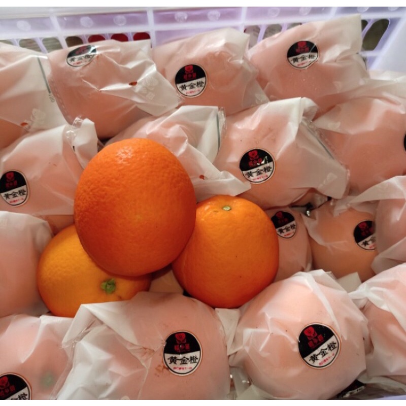 

Buah Jeruk Orange Navel China Sunkist 1kg - Navel china