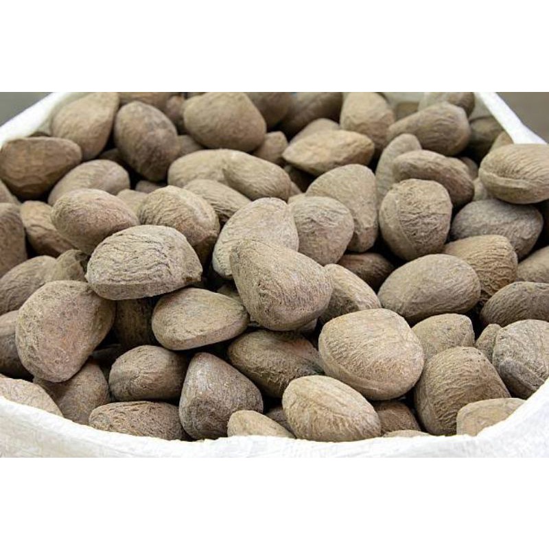 

kluwek atau kluwak fresh 500gram