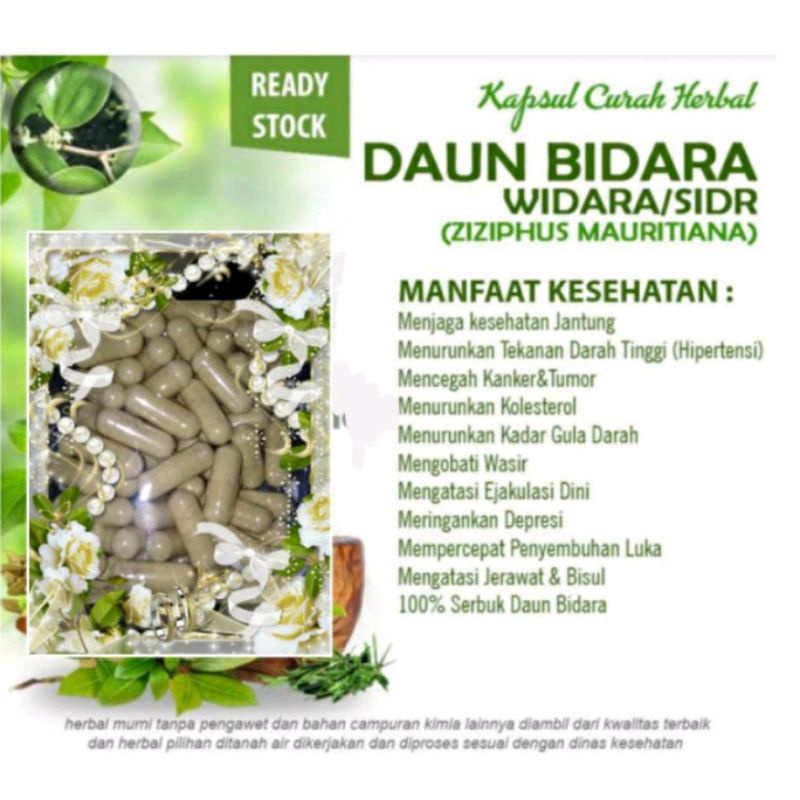 KAPSUL DAUN BIDARA