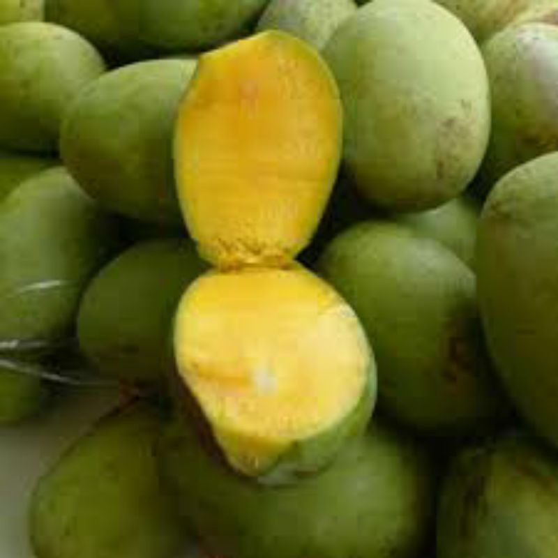 

mangga kweni super/1kg