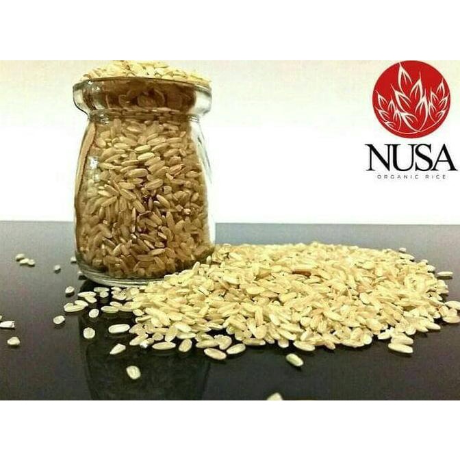 

BERAS COKLAT ORGANIK KUALITAS EKSPOR 2KG