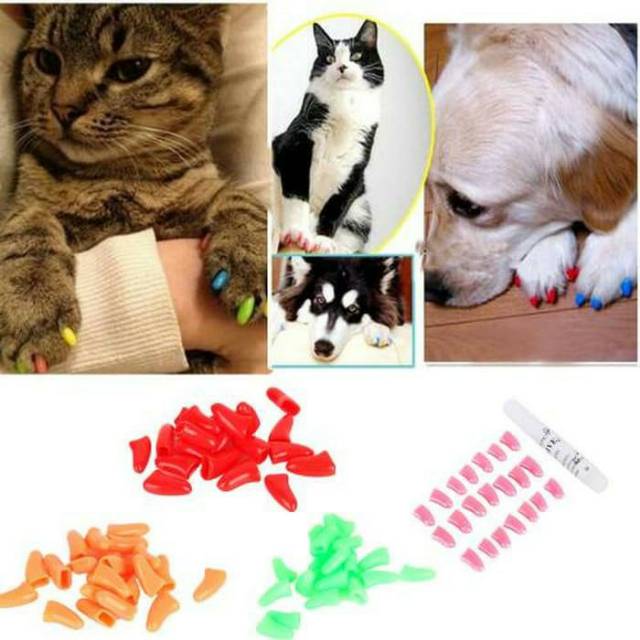 Cat Nail Caps Kit Pelindung Kuku Kucing Anjing Isi 20 - Satu Set