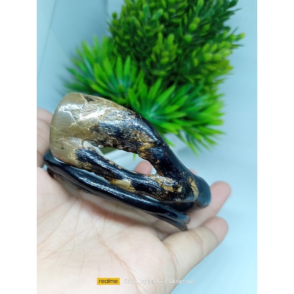 Gelang Akar Bahar Bonggol combong