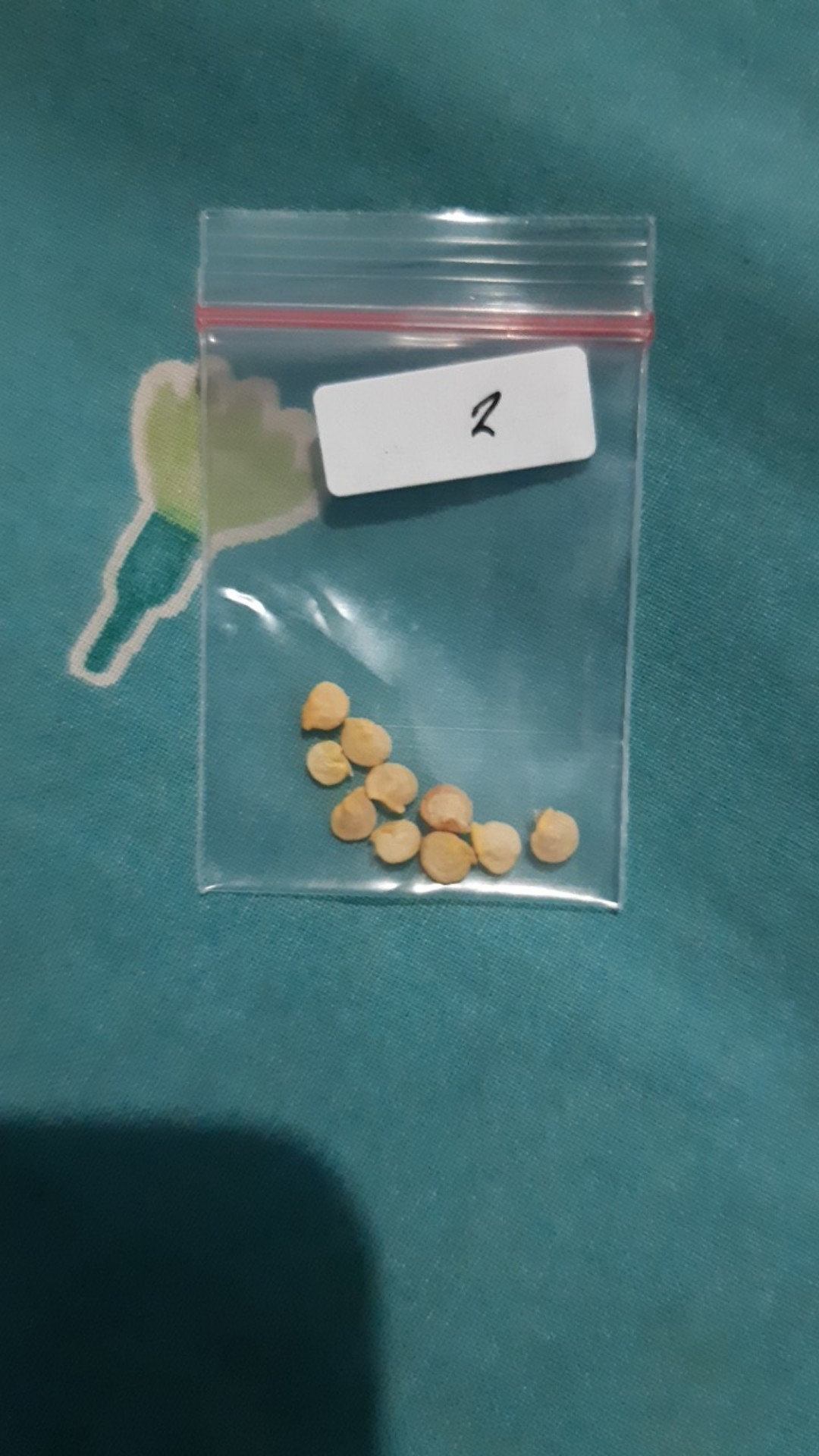 Biji/benih/bibit Tanaman Paprika Mix (10 Biji)