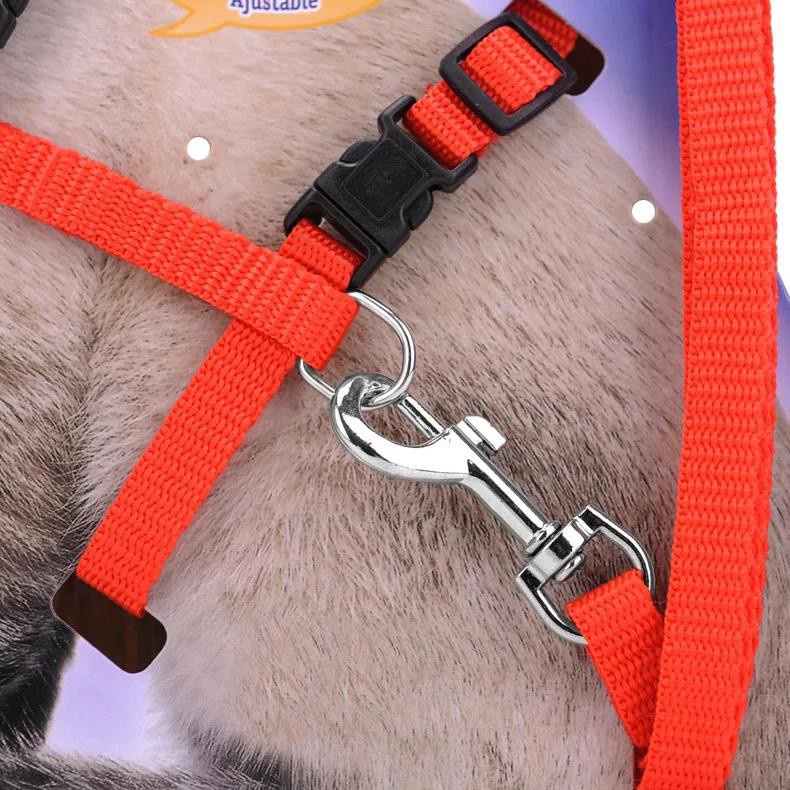 Harness Polos Model H Tali Penuntun Kucing