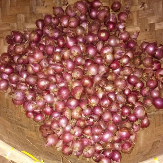 

Bawang Merah Murah