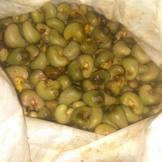 

biji mede 1 kg
