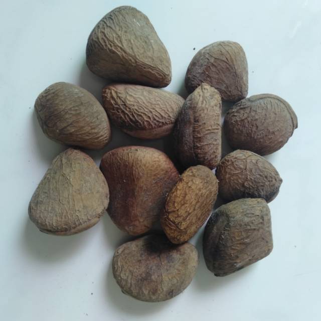 

Keluwek Picung 200gram~ Biji Kepayang Kluwek Pucung