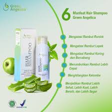 SHAMPO GREEN ANGELICA