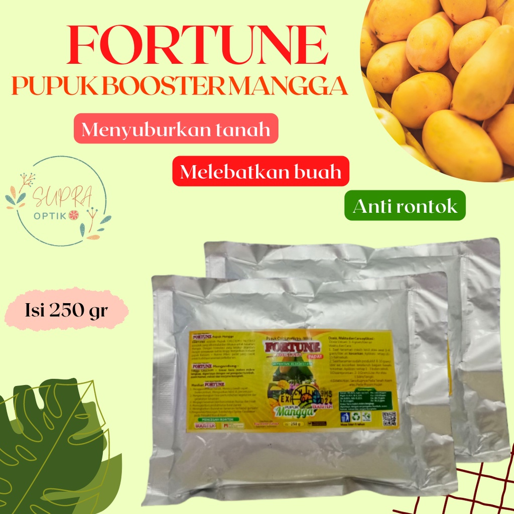 Pupuk Mangga Agar Cepat Berbuah, Pupuk Booster Mangga Berbuah Lebat