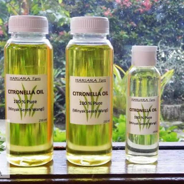 MINYAK ESENSIAL SEREH WANGI 100ML