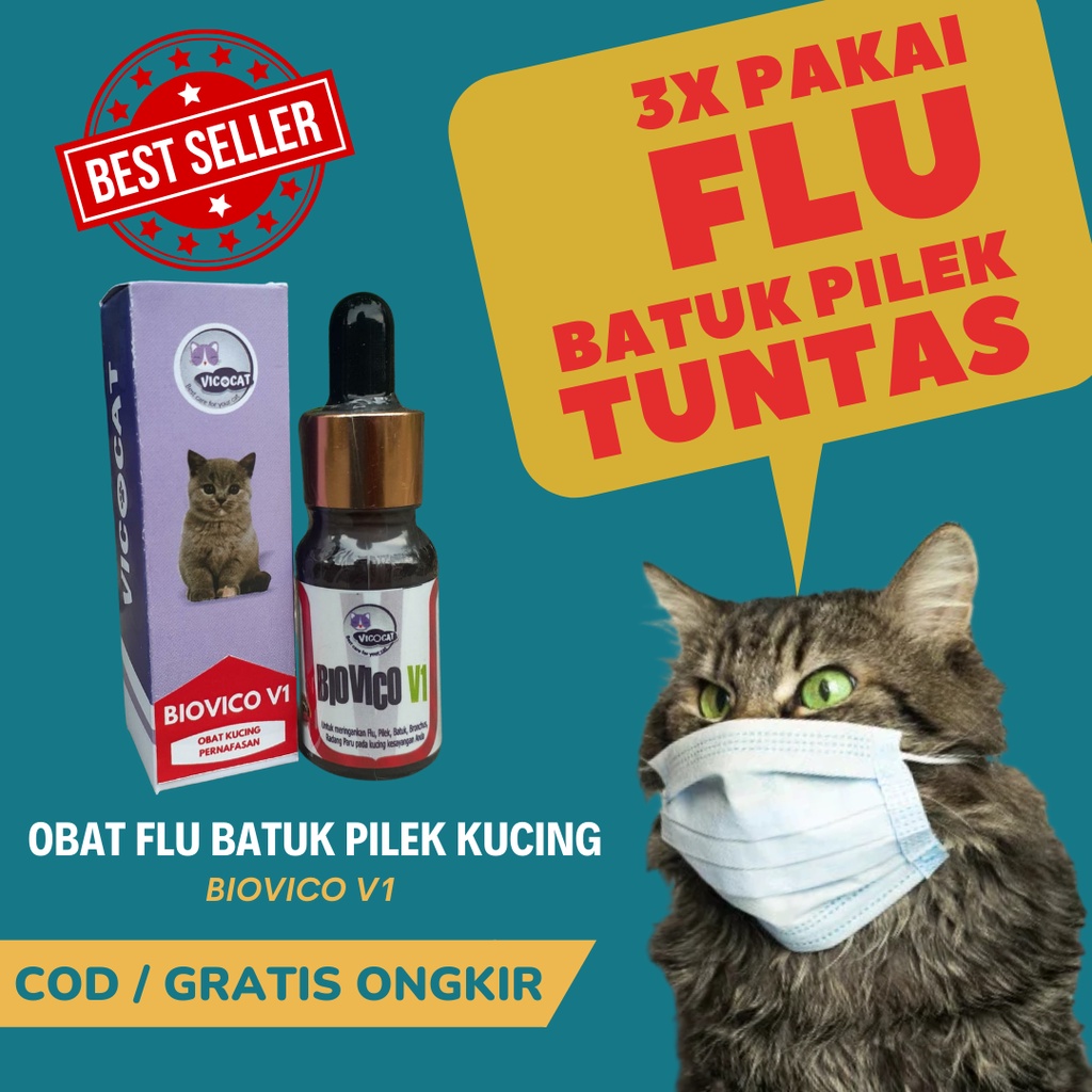 BIOVICO V1 Obat Kucing FLU Pilek Demam Virus Kitten Panas Antibiotik Pernafasan Kucing Ampuh Manjur dan Aman