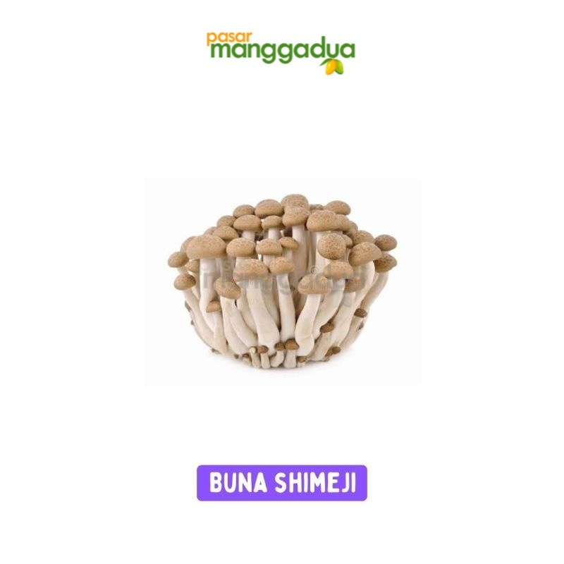 

PROMO !!! Jamur Shimeji Coklat / Buna Shimeji Mushroom Per Pack / Jamur Segar