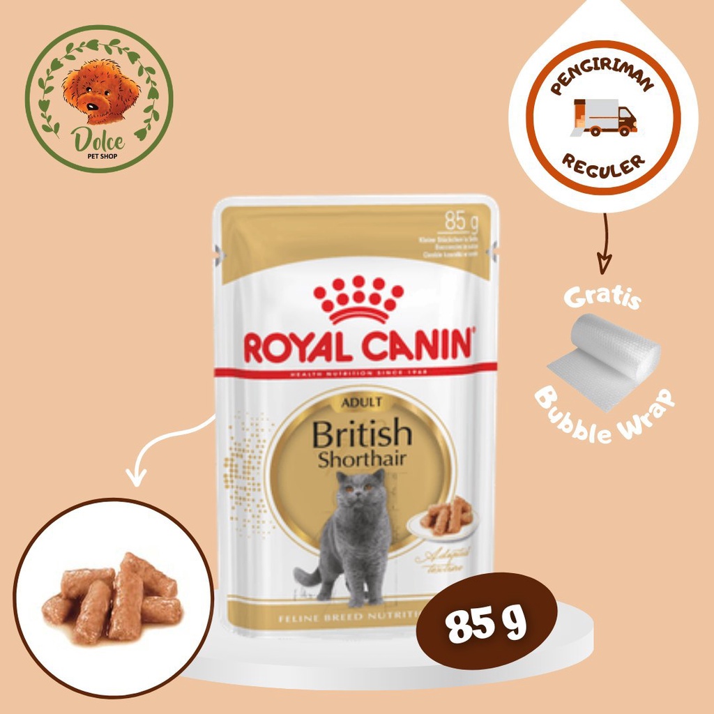 Royal Canin Adult British Shorthair 85gr Makanan Kucing Dewasa Wet