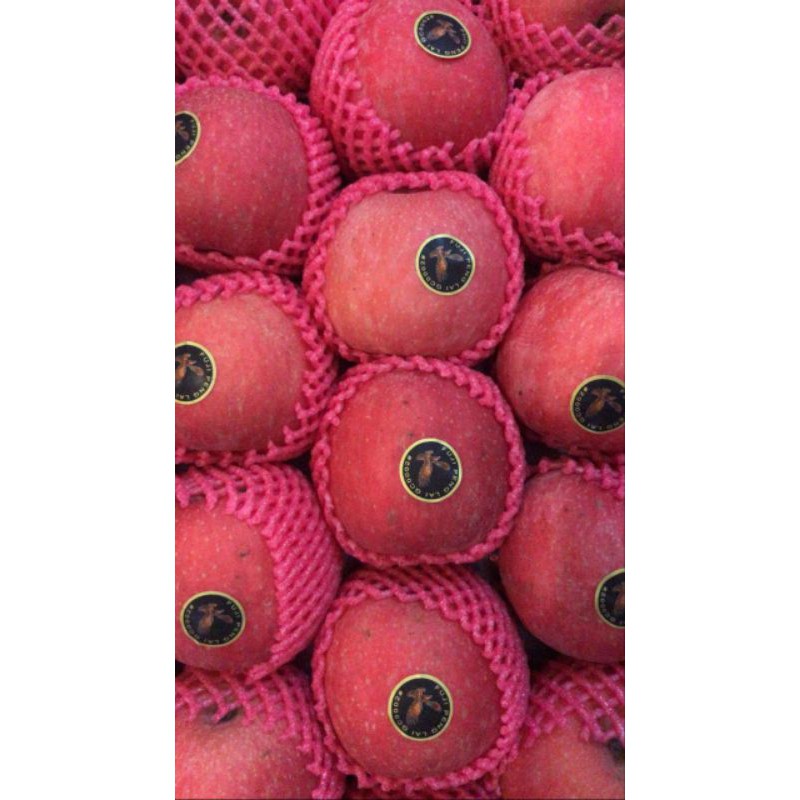 

APEL FUJI 1kg