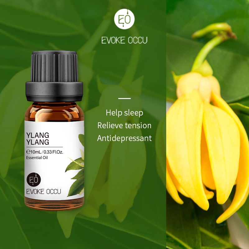 Evoke Occu - Ylang Ylang 10ml Essential Oil Minyak Aroma Terapi Diffuser Humidifier Natural Relax Fresh Candle Soap Bath Aromatherapy