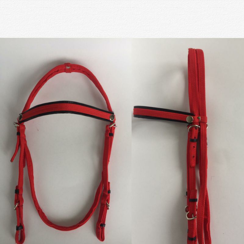 bridle sarungan kendali kuda